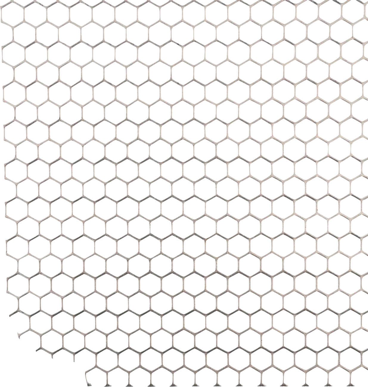 Outrider Radiator Guard