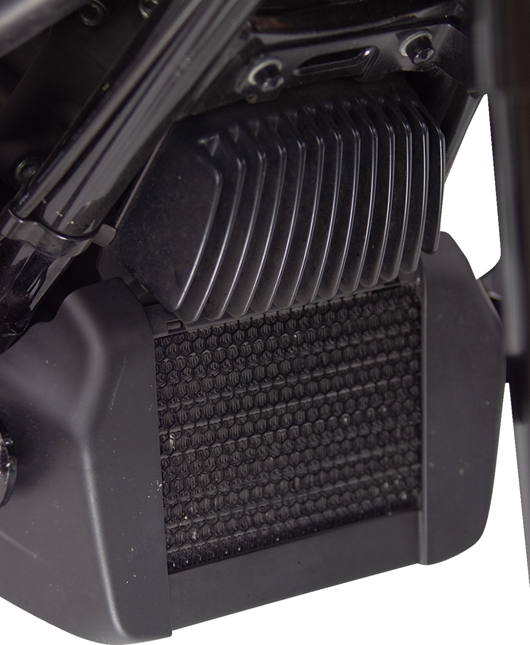 Oil Cooler Guard - Black - M8 Touring/Trike